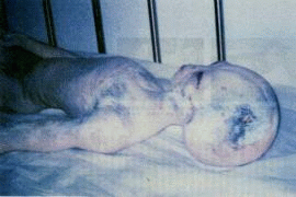 alien1.gif
